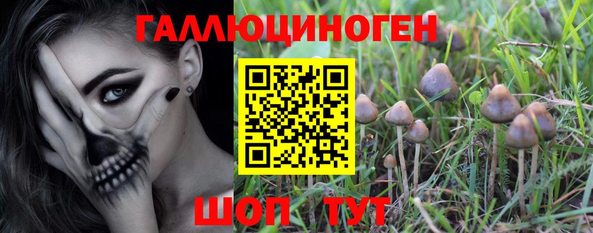 Псилоцибиновые грибы мицелий Рузаевка