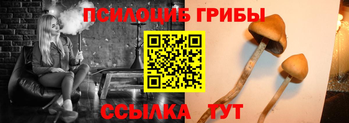 Рузаевка  Псилоцибиновые грибы Psilocybine cubensis  продажа наркотиков  Вход с VPN 
